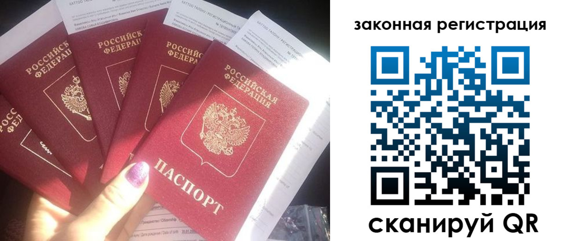 временная регистрация гарантия в ЕАО